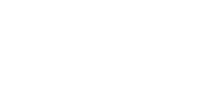 Logo SafeCabin